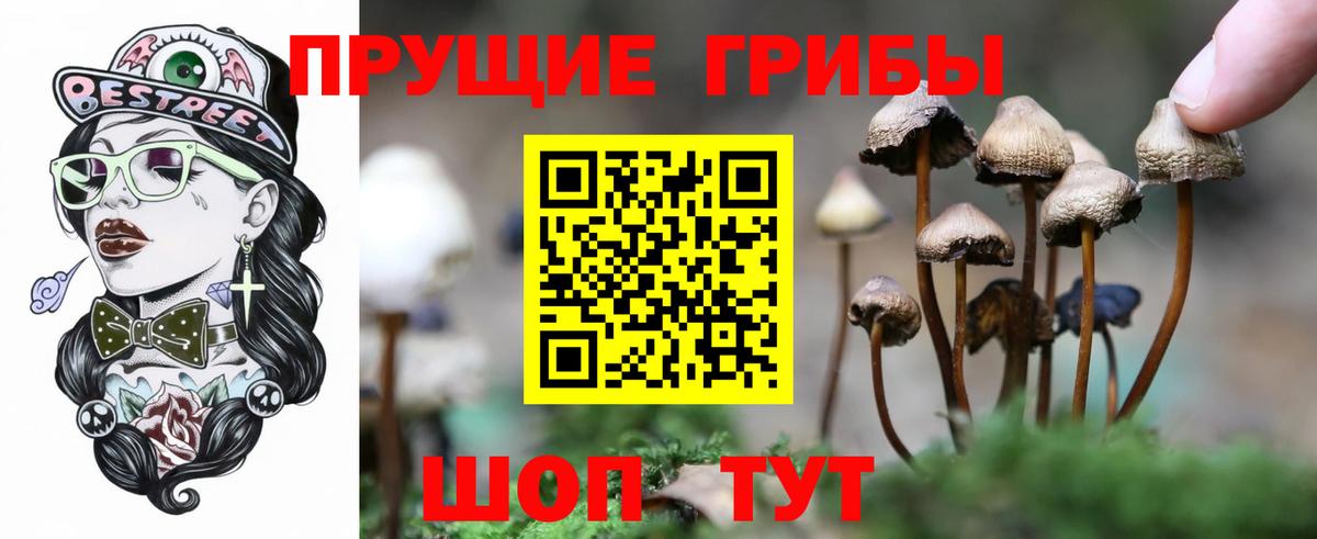 Крымск  Псилоцибиновые грибы Magic Shrooms  Вход с VPN  Галлюциногенные грибы мицелий 